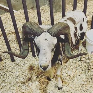 Meet your Posher, Jaclyn